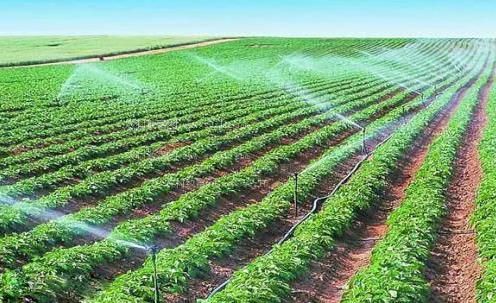 搞逼毛免费视频农田高 效节水灌溉